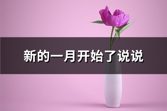 新的一月开始了说说