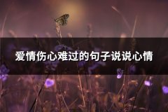 爱情伤心难过的句子说说心情