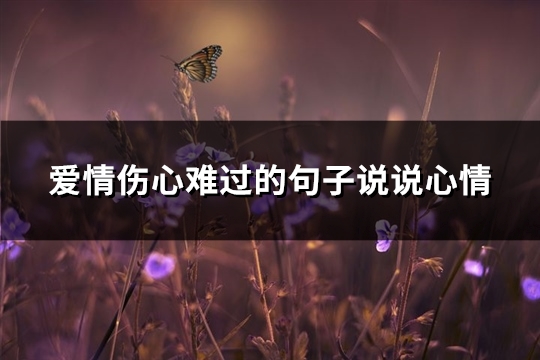 爱情伤心难过的句子说说心情