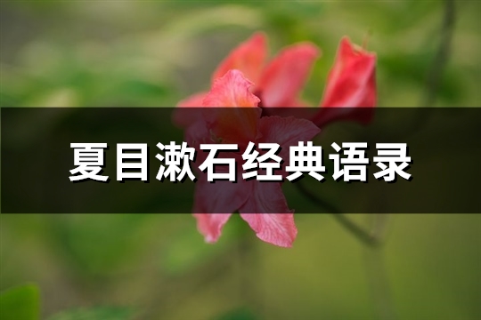 夏目漱石经典语录