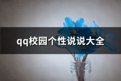 qq校园个性说说大全
