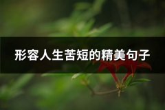 形容人生苦短的精美句子