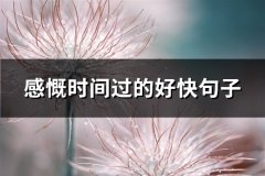 感慨时间过的好快句子