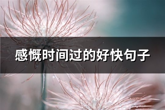 感慨时间过的好快句子