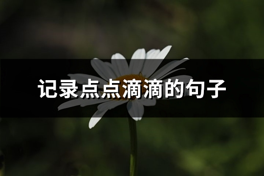 记录点点滴滴的句子