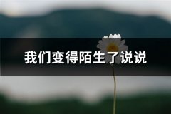 我们变得陌生了说说