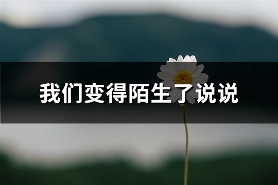 我们变得陌生了说说