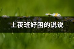 上夜班好困的说说
