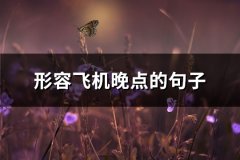 形容飞机晚点的句子