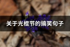 关于光棍节的搞笑句子