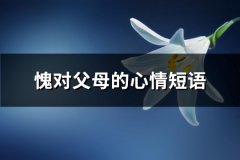 愧对父母的心情短语