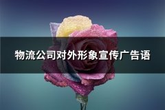 物流公司对外形象宣传广告语