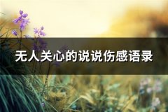 无人关心的说说伤感语录