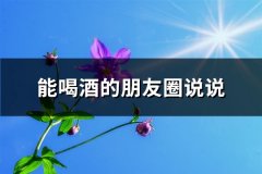 能喝酒的朋友圈说说