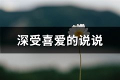 深受喜爱的说说
