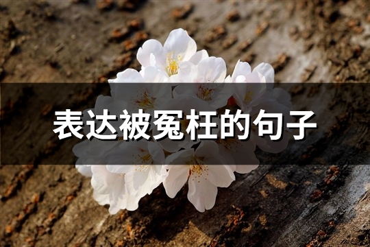 表达被冤枉的句子 表达被冤枉的句子