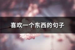喜欢一个东西的句子