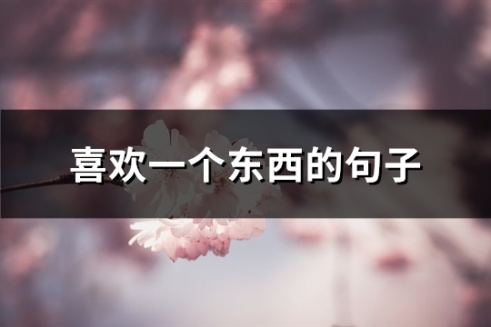 喜欢一个东西的句子