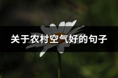 关于农村空气好的句子
