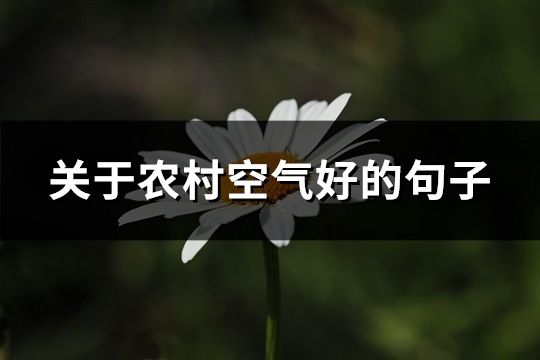 关于农村空气好的句子