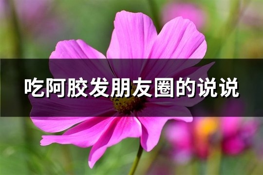 吃阿胶发朋友圈的说说