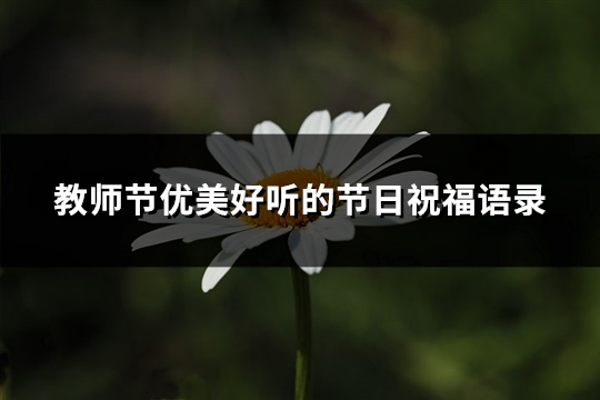 教师节优美好听的节日祝福语录