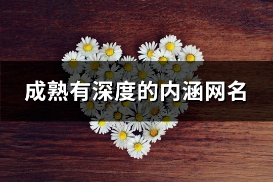 成熟有深度的内涵网名(精选263个)(成熟有深度的内衣店)