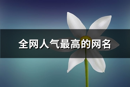 全网人气最高的网名(精选402个) 全网人气最高的小说