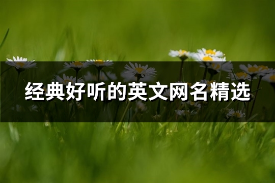 经典好听的英文网名精选(优选407个)(经典好听的英文老歌)