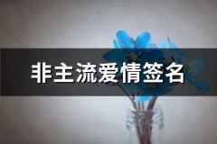 非主流爱情签名(精选50句)