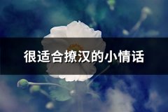 很适合撩汉的小情话(推荐101句)