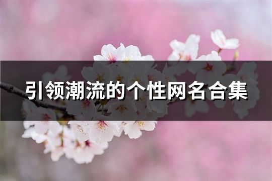 引领潮流的个性网名合集(211个)(引领潮流时尚)（引领潮流霸气的句子）