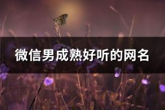 微信男成熟好听的网名(212个)