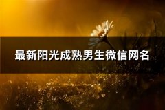 最新阳光成熟男生微信网名(优选160个)