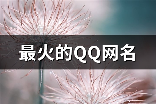 最火的QQ网名(精选290个) 2020qq最火网名