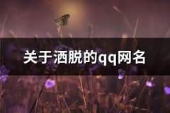 关于洒脱的qq网名(优选163个)