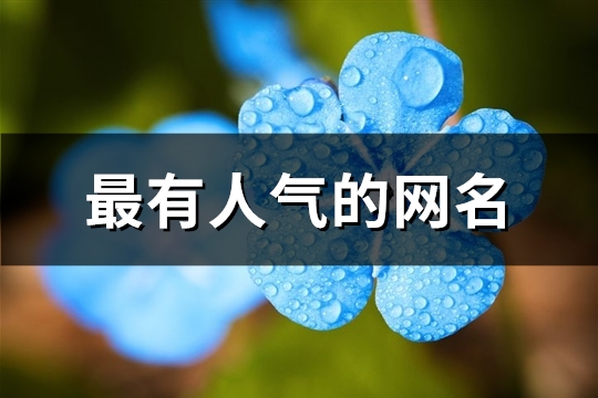 最有人气的网名(共220个)(人气旺的网名)