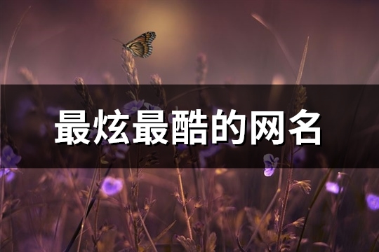 最炫最酷的网名(107个)