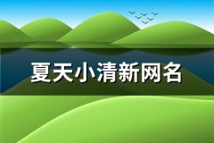 夏天小清新网名(优选218个)