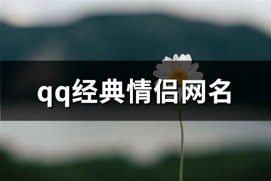 qq经典情侣网名(68个)(qq经典情侣网名)