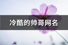 冷酷的帅哥网名(297个)