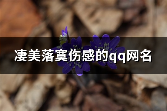 凄美落寞伤感的qq网名(优选102个)(伤感落寞的诗)