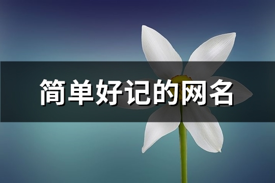 简单好记的网名(优选269个)(简单好记的网名2个字的)