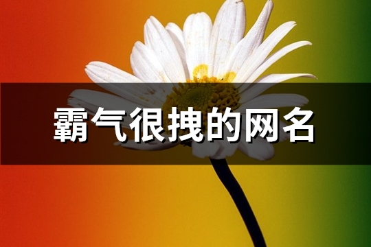 霸气很拽的网名(优选223个)(霸气很拽的网名三字)