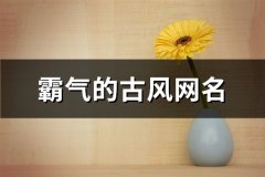 霸气的古风网名(462个)