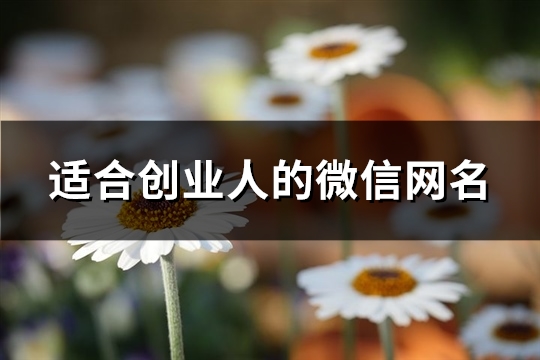 适合创业人的微信网名(共528个)(创业微信名字微信昵称2021最新)