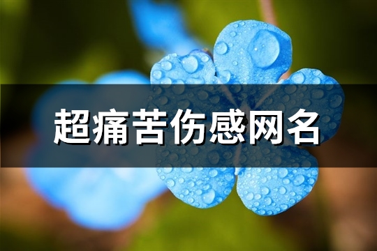 超痛苦伤感网名(优选487个)(网名悲痛)