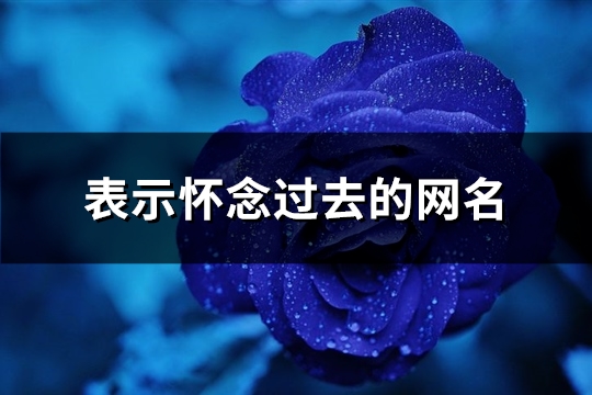 表示怀念过去的网名(精选114个)(表示怀念过去的词语2个字)