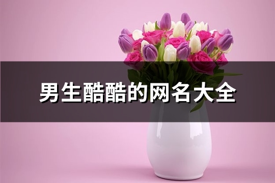男生酷酷的网名大全(优选293个)(男生酷酷的网名2个字可爱)