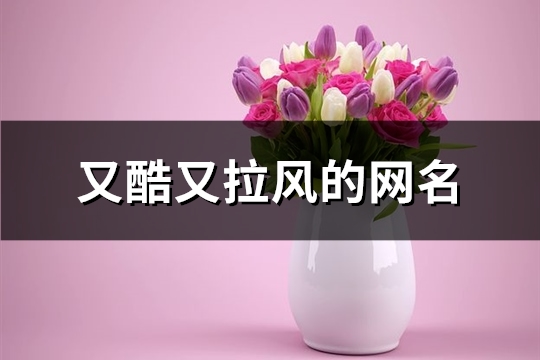 又酷又拉风的网名(205个)(炫酷拉风网名)